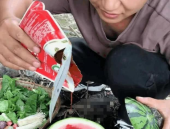 女生网红吃瓜表情包动态,演绎现代女性趣味生活